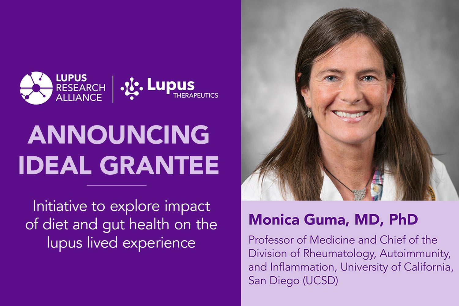 Lupus Therapeutics Names Grantee for Groundbreaking IDEAL Initiative