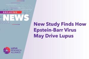 Lupus Research Alliance Funds Study to Understand Connection Between